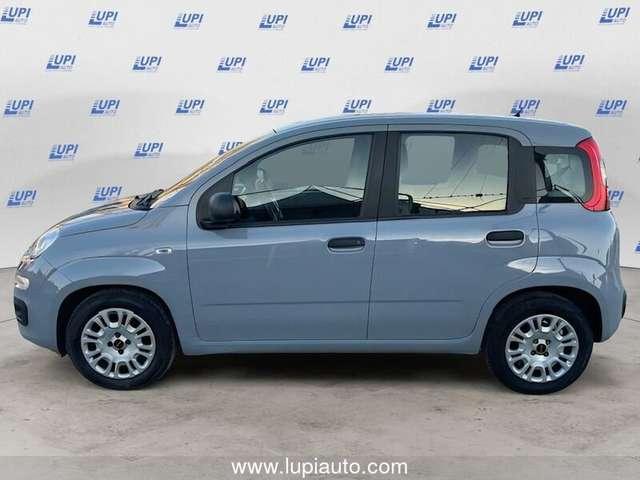 Fiat Panda 1.0 firefly hybrid City Life s&s 70cv 5p.ti