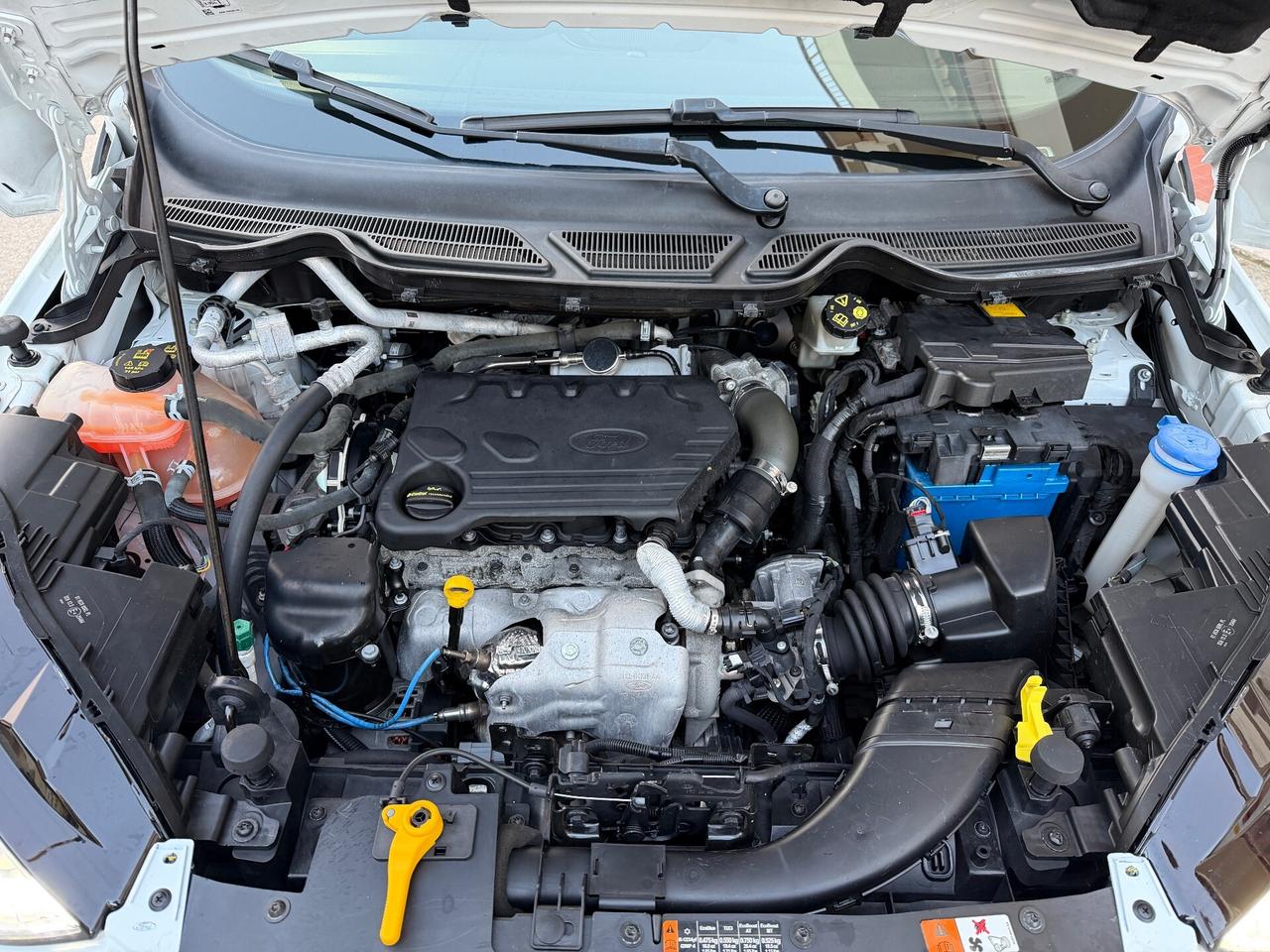 Ford EcoSport 1.5 TDCi 100 CV Start&Stop Titanium