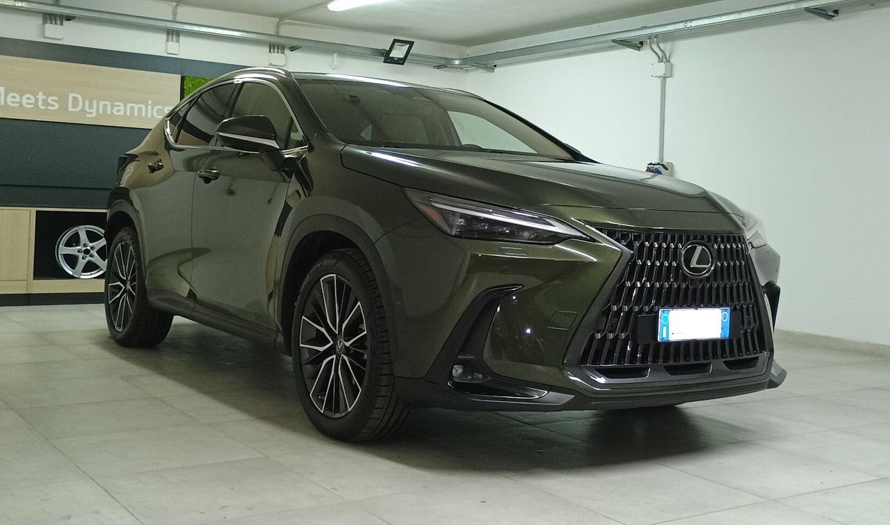 Lexus NX Hybrid 4WD Luxury