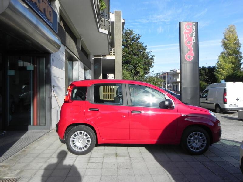 Fiat Panda NEW MY 25 1.0 FireFly S&S Hybrid 70 cv Pandina Icon