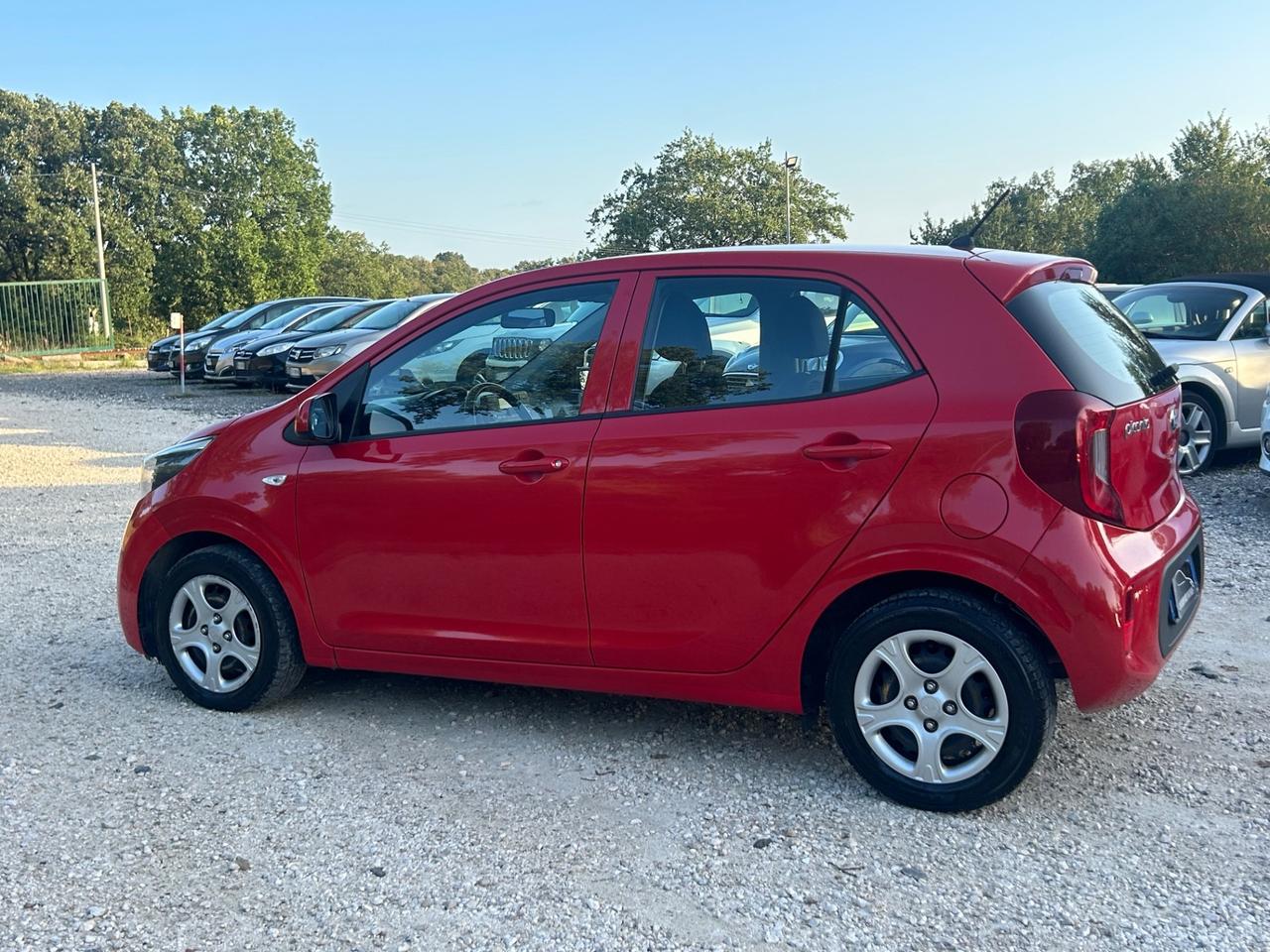 Kia Picanto 1.0 12V 5 porte cool neopatentati