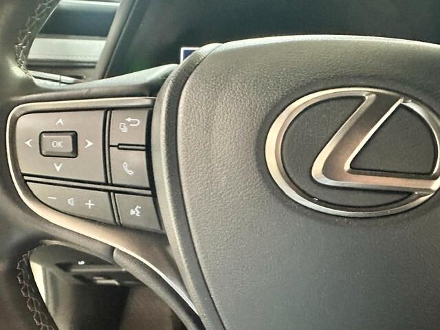 Lexus UX Hybrid Business