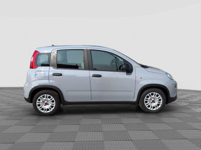 FIAT Panda Panda 1.0 FireFly Hybrid City Life