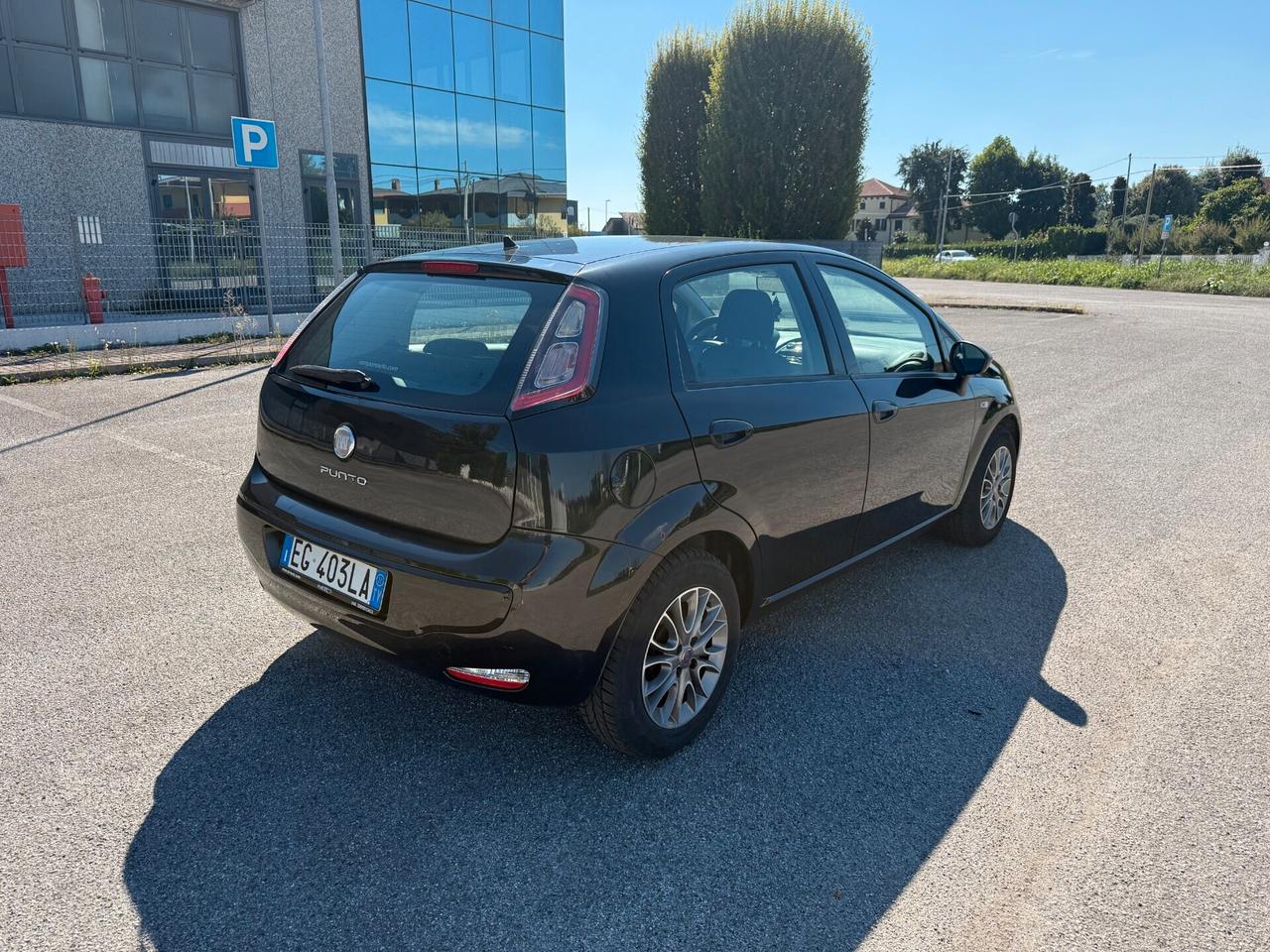 Fiat Punto Evo Punto Evo 1.2 5 porte S&S Dynamic