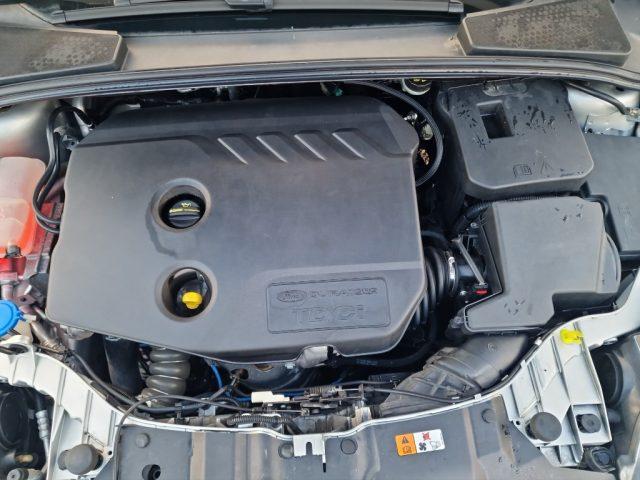 FORD Focus 1.6 TDCi 115 CV SW Titanium