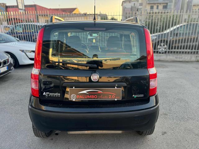 FIAT Panda 1.2 60CV Dynamic Natural Power