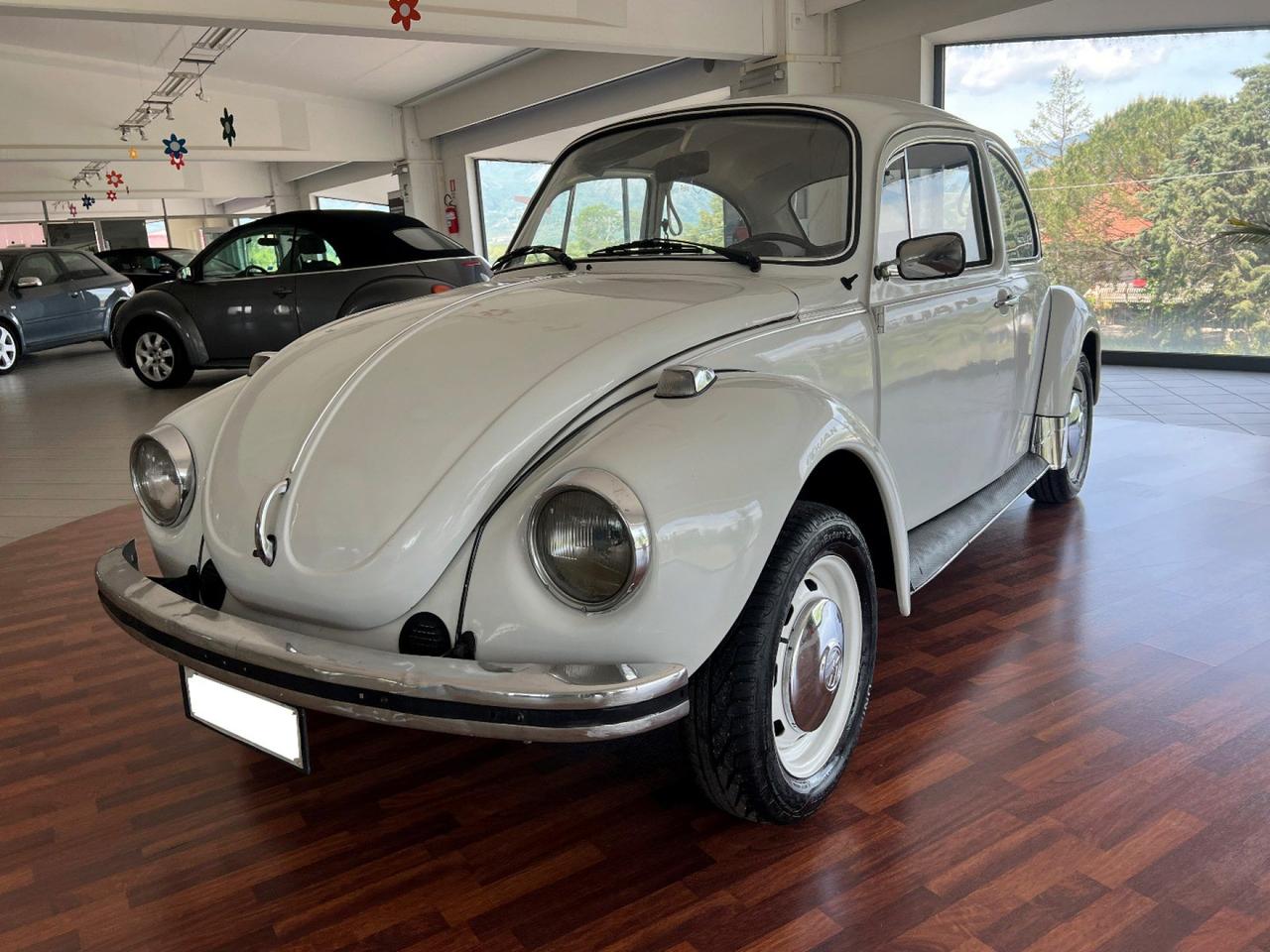 Volkswagen Maggiolino