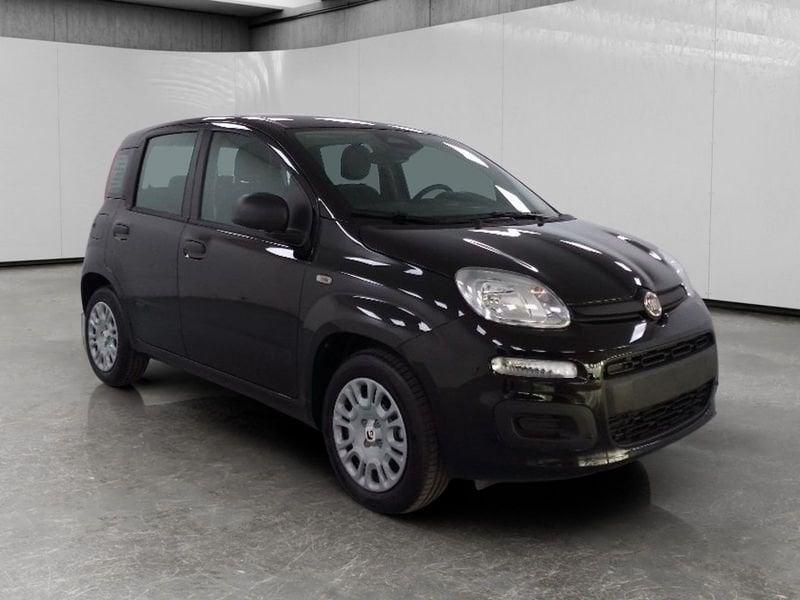FIAT Pandina 1.0 firefly hybrid Icon s&s 70cv 5p.ti
