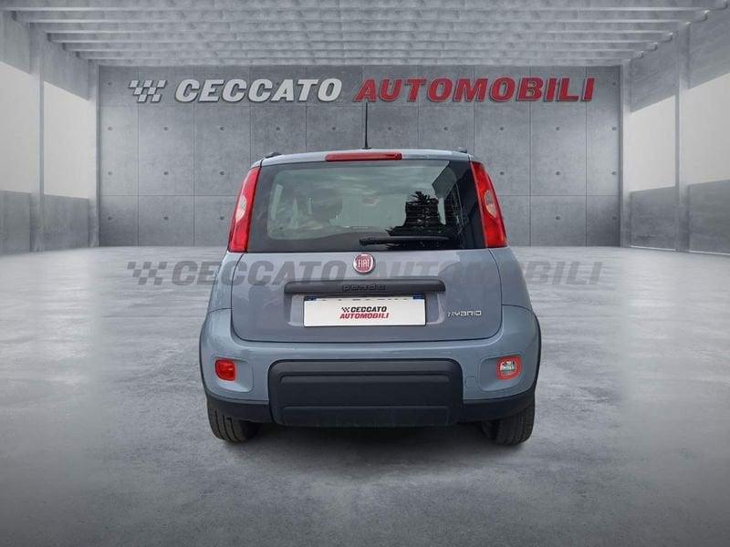 FIAT Panda Panda 1.0 firefly hybrid City Life s&s 70cv 5p.ti