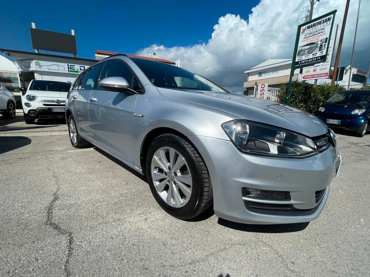 Volkswagen Golf Variant Golf Business 1.4 TGI 5p. Highline BlueMotion