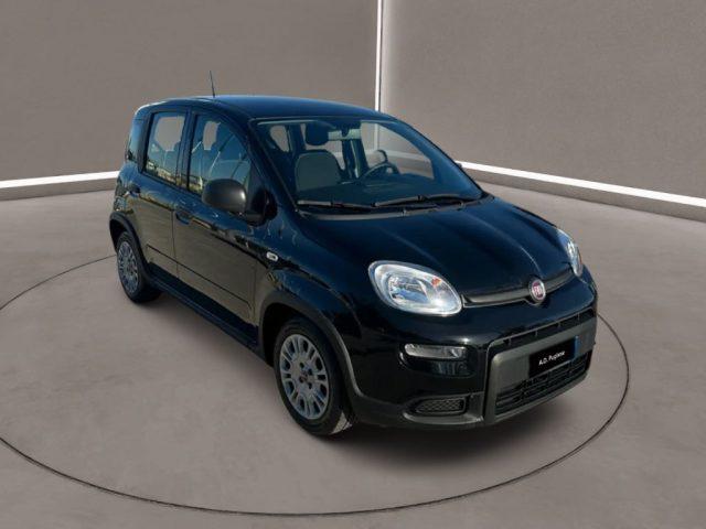 FIAT Panda 3ª serie - 1.0 FireFly S&S Hybrid