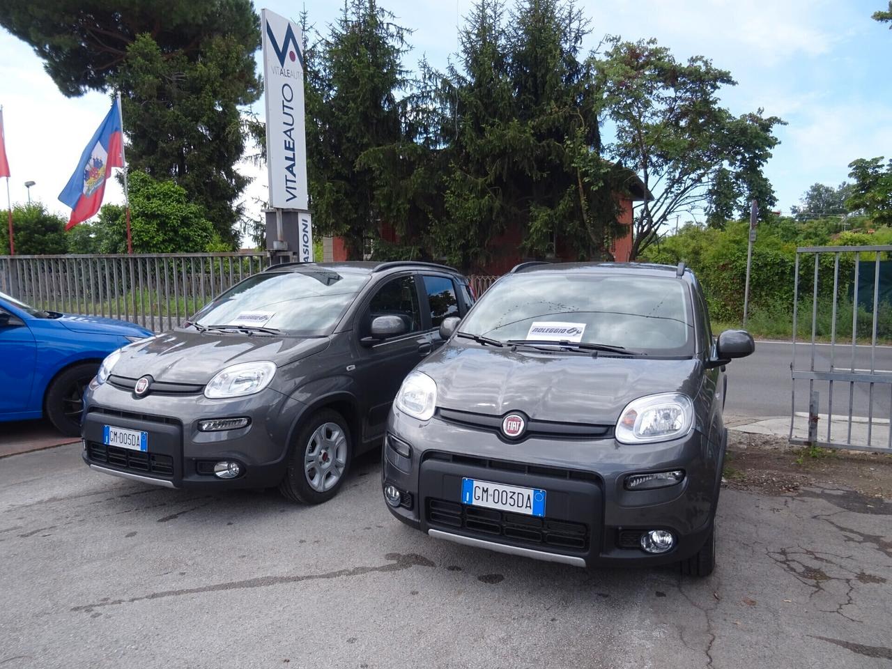 Fiat Panda CityCross 1.0 S&S Hybrid NOLEGGIAMI