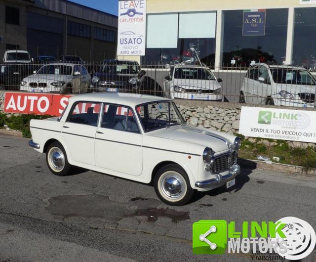 FIAT 1100 SPECIAL - ASI TARGA ORO