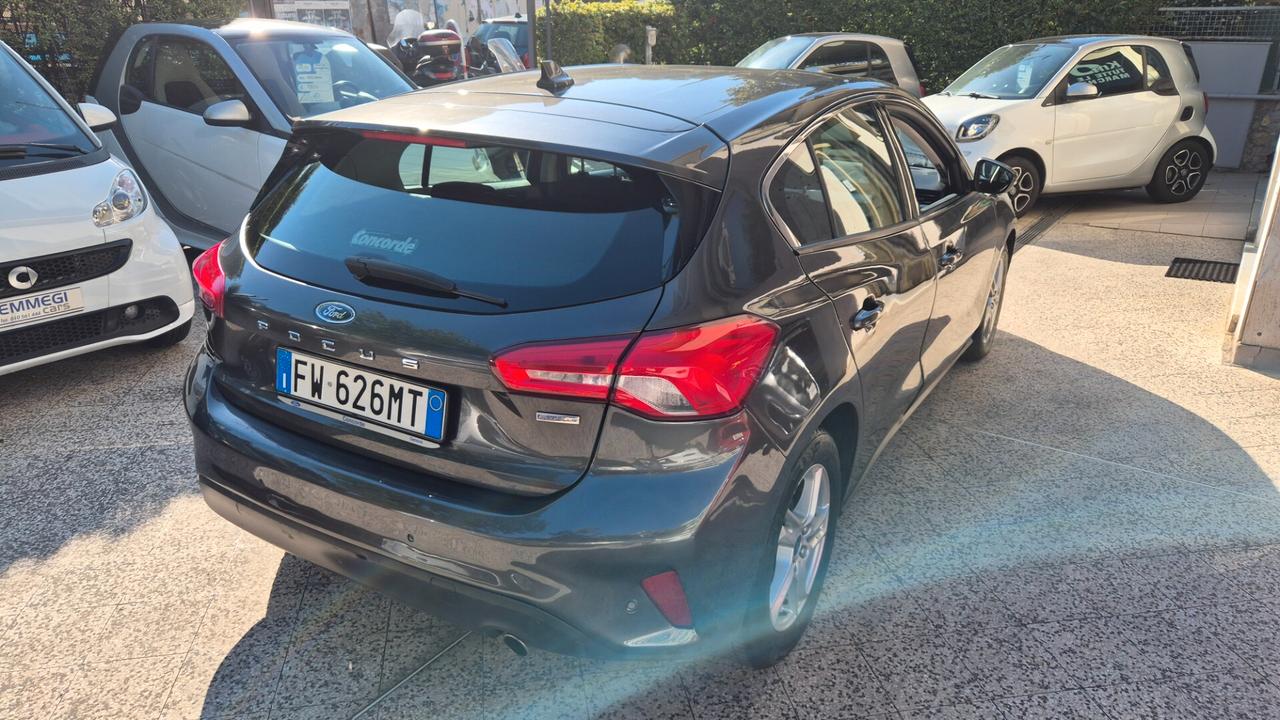Ford Focus 1.5 EcoBlue 95 CV 5p. Business
