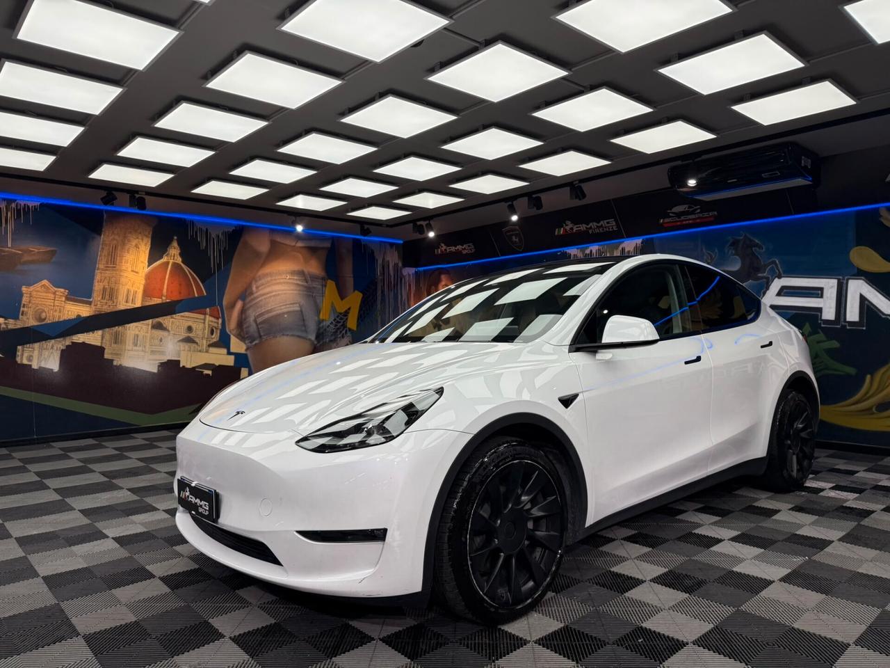 Tesla Model Y Long Range AWD (892)