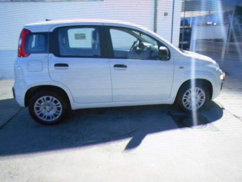 FIAT Panda 1.0 FireFly Hybrid Fin 9Perfet Sc41%