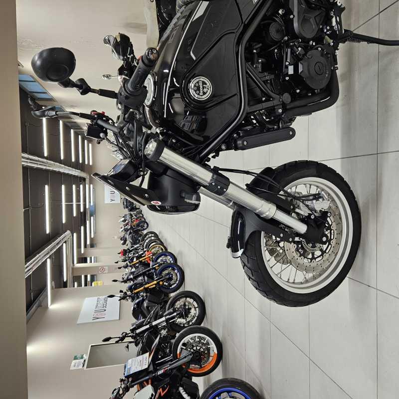 Benelli Leoncino 500 Trail - 2023