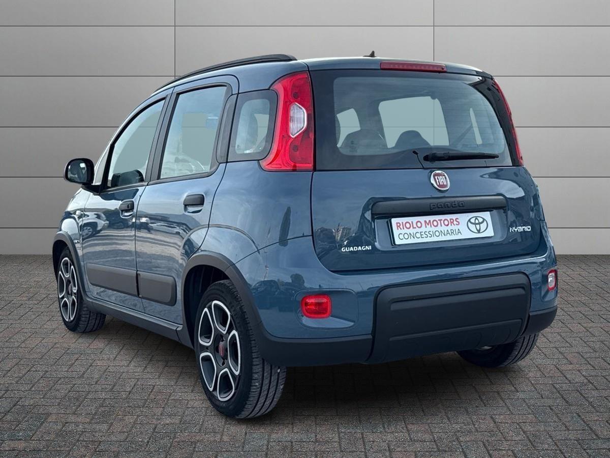 FIAT Panda III 2021 - Panda 1.0 firefly hybrid s&s 70cv