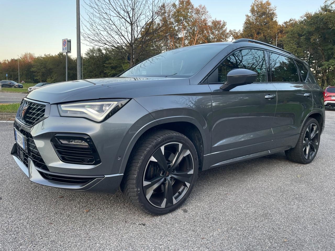 Cupra Ateca 2.0 TSI DSG 4Drive VZ*Automatik*Navi*