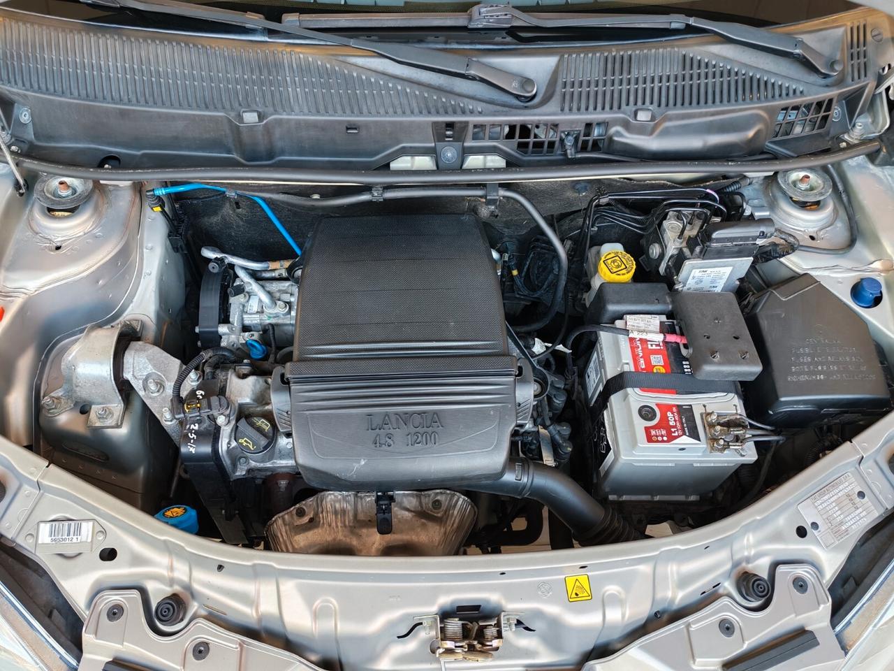 Lancia Ypsilon - TAGLIANDATA - tenuta MOLTO bene !!!