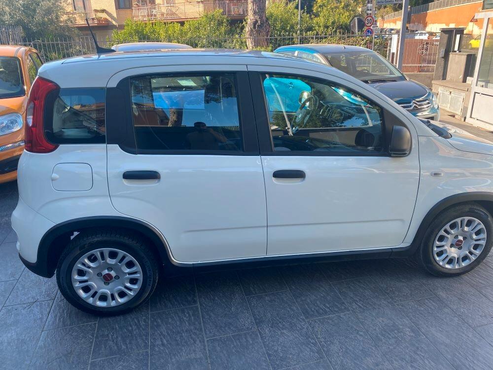 Fiat Panda 1.0 FireFly S&S Hybrid