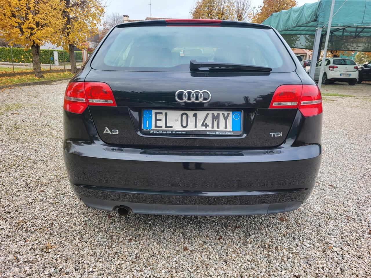 Audi A3 1.6 TDI 90 CV CR F.AP. Ambition