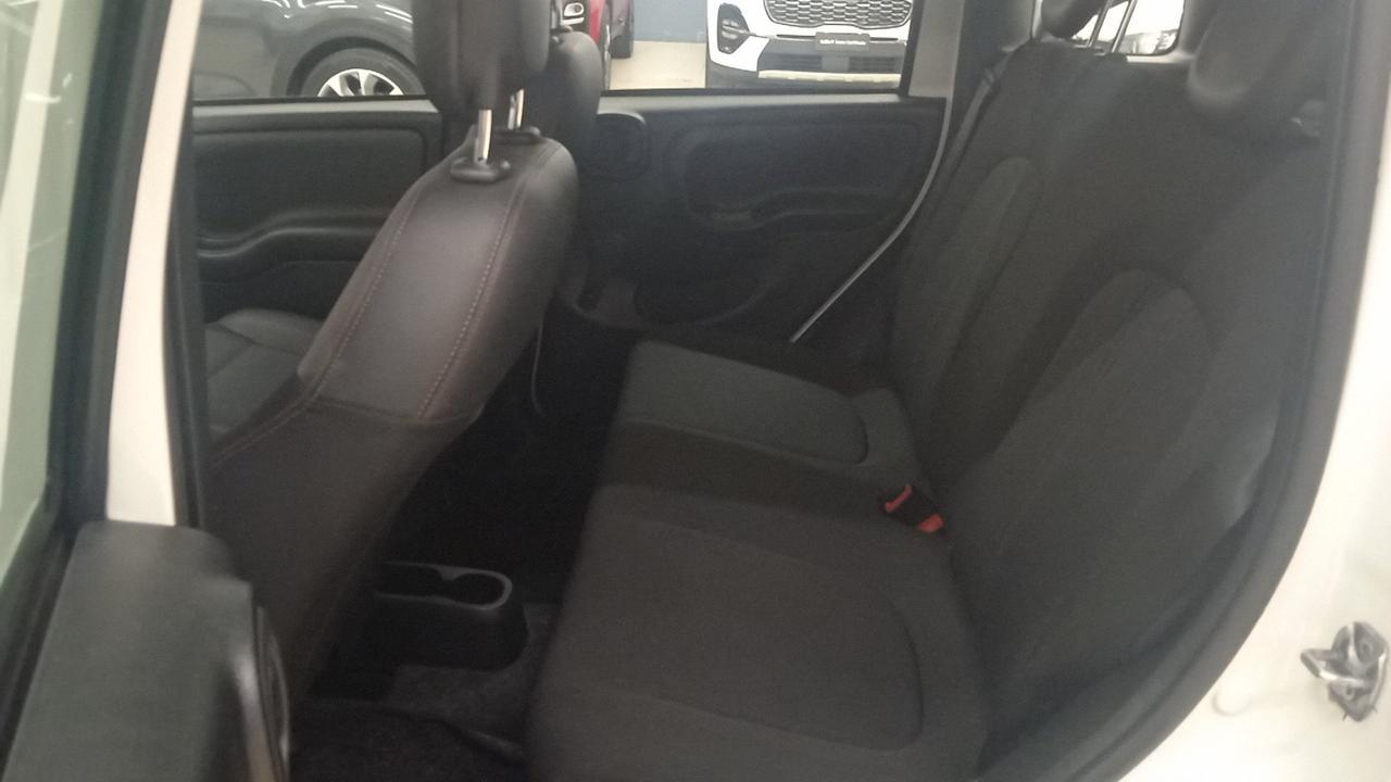 FIAT Panda III 2021 - Panda 1.0 firefly hybrid Sport s&s 70cv