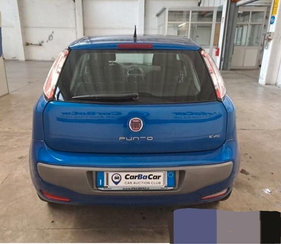 Fiat Punto Evo 1.4 5 porte Dynamic OK NEO PATENTATI