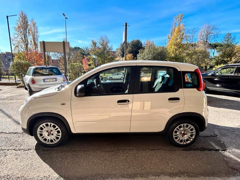 Fiat Panda 1.0 firefly hybrid s&s 70cv 5p.ti *Promo SD 2025