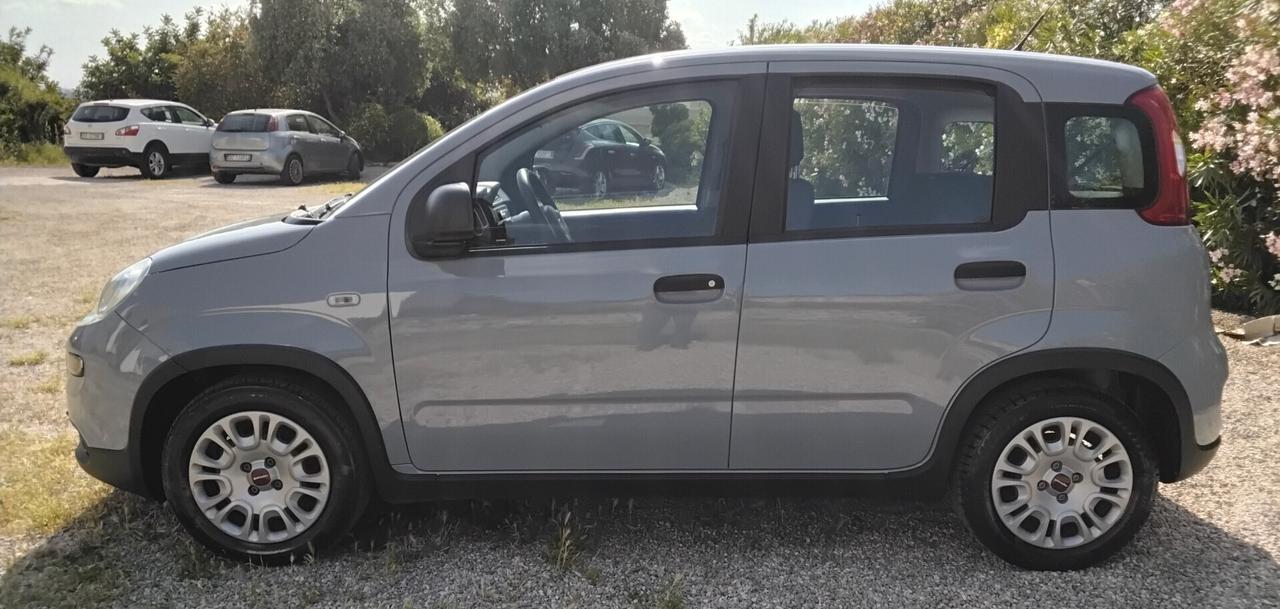 Fiat Panda 1.0 FireFly S&S Hybrid