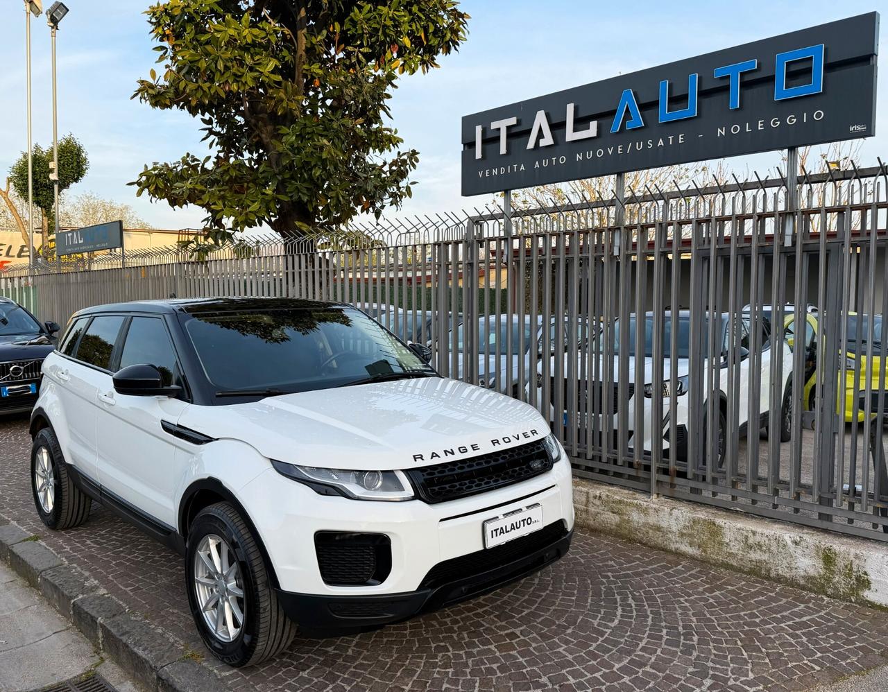 Land Rover Range Evoque 2.0 TD4 150 CV 5p. Pure