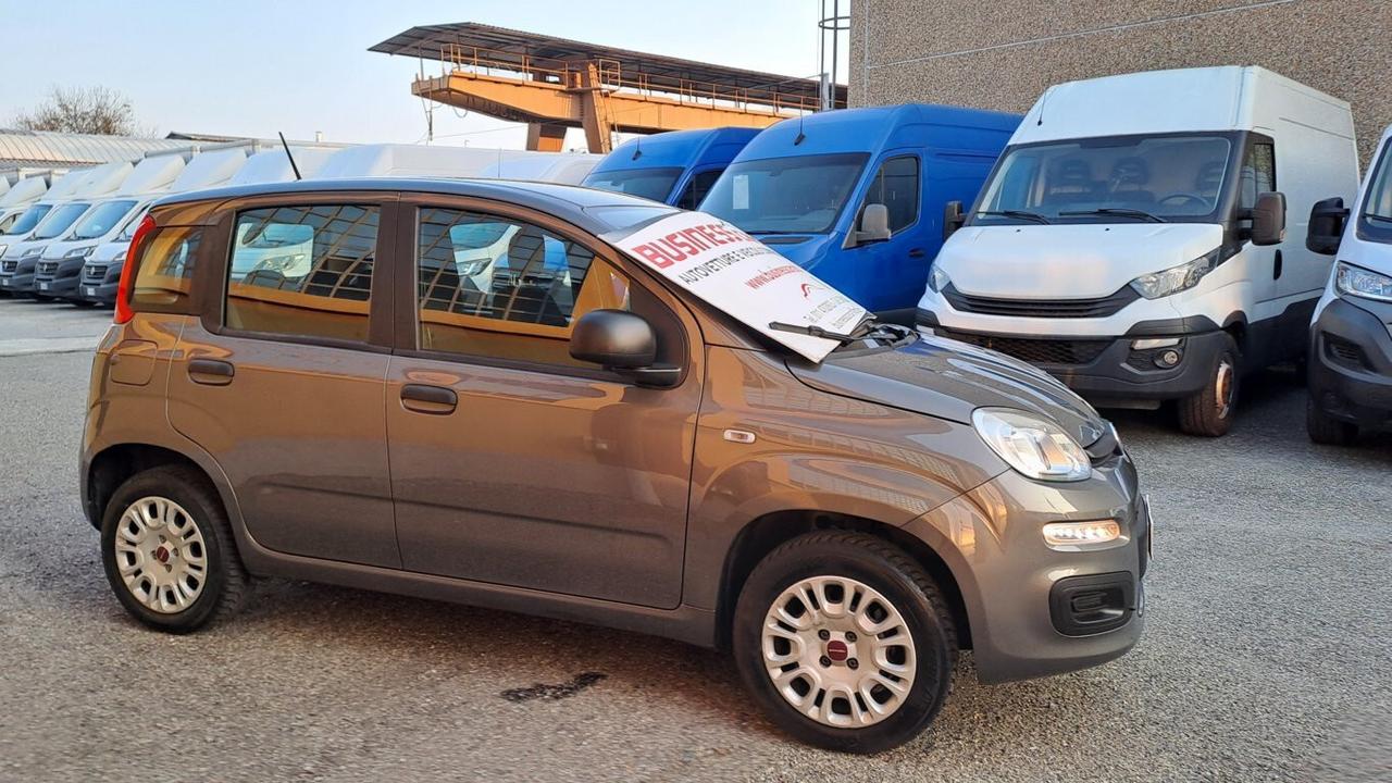 Fiat Panda 1.2 69 CV Easy - KM. 41.000 - AUTO PER NEOPATENTATI