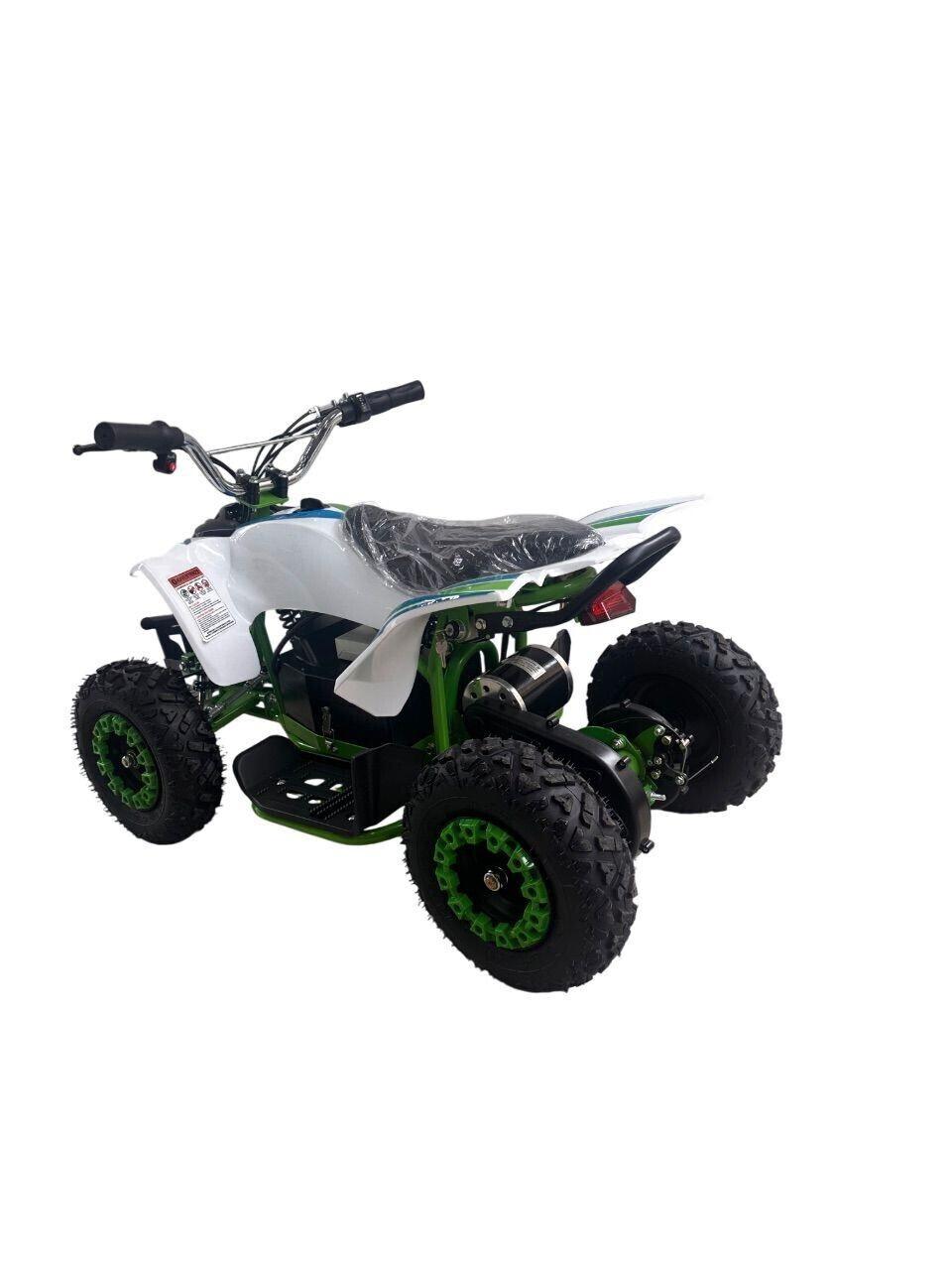 Altro Altro OFF ROAD Elettrico