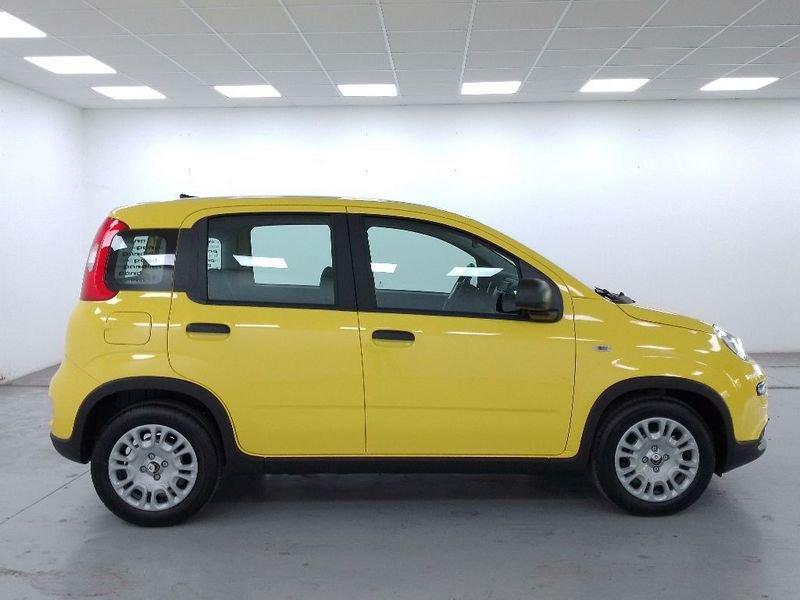 FIAT Pandina III 2024 Pandina 1.0 firefly hybrid s e s 70cv