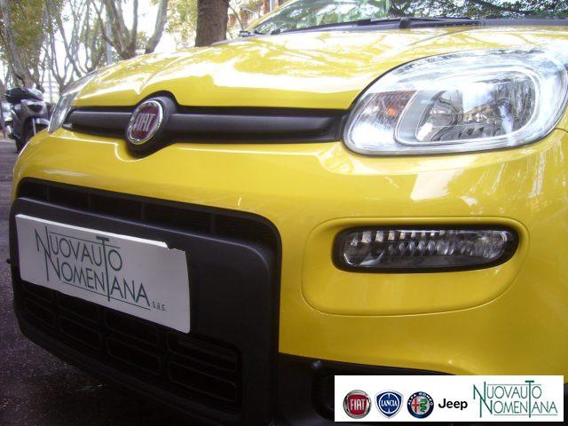 FIAT Panda 1.0 FireFly S&S Hybrid Pandina Urban Km 0