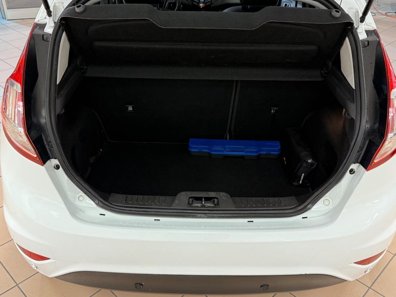 Ford Fiesta 1.4 5 porte Bz.- GPL Black & White Edition