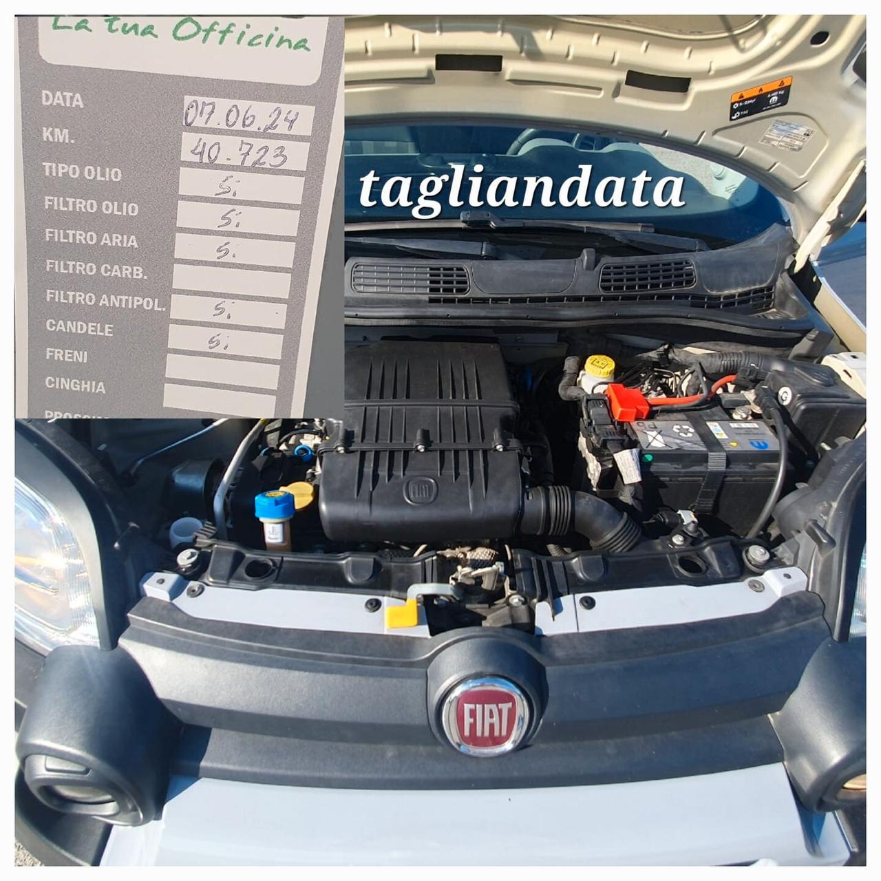 Fiat Panda 1.2 City Cross