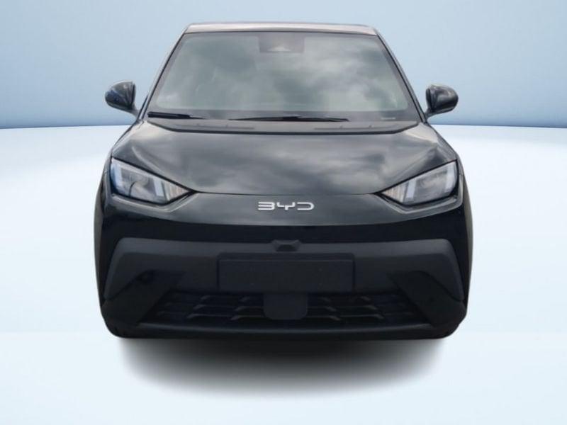 BYD Dolphin Surf Boost