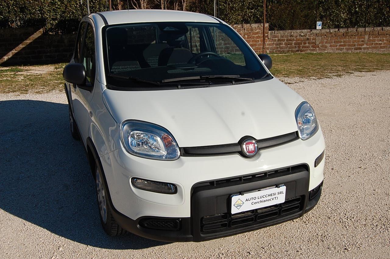 Fiat Panda 1.0 FireFly S&S Hybrid