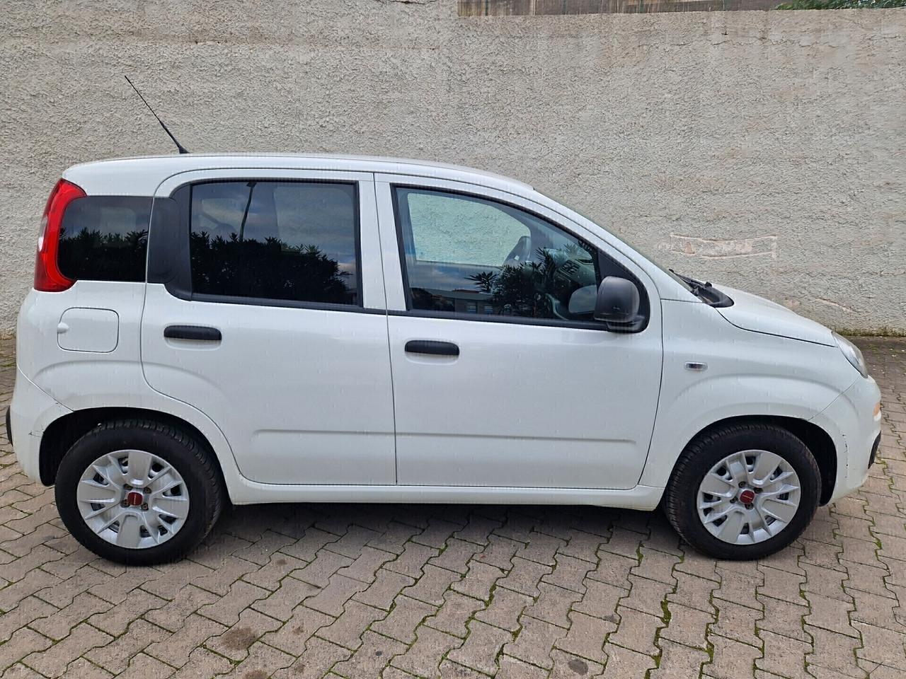 Fiat Panda 1.2 69cv Neopatentati 5 POSTI