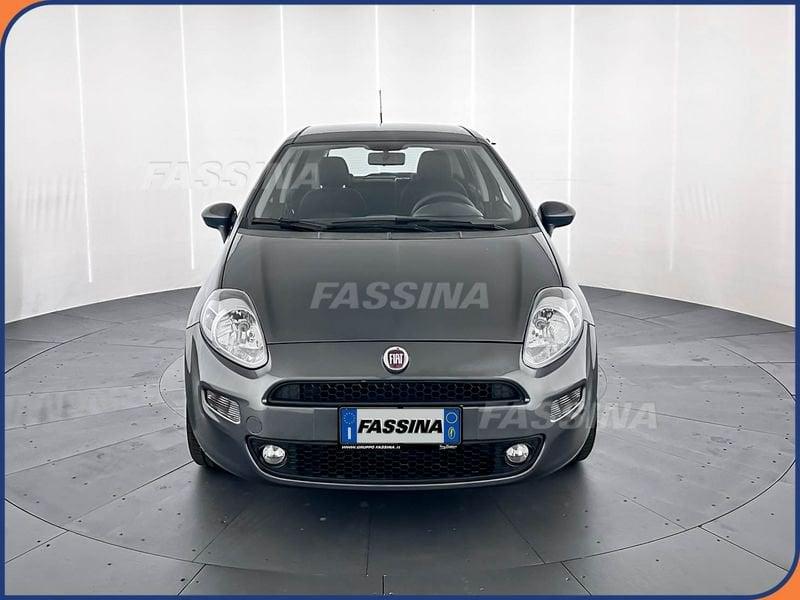 FIAT Punto Punto 1.2 8V 5 porte Easy