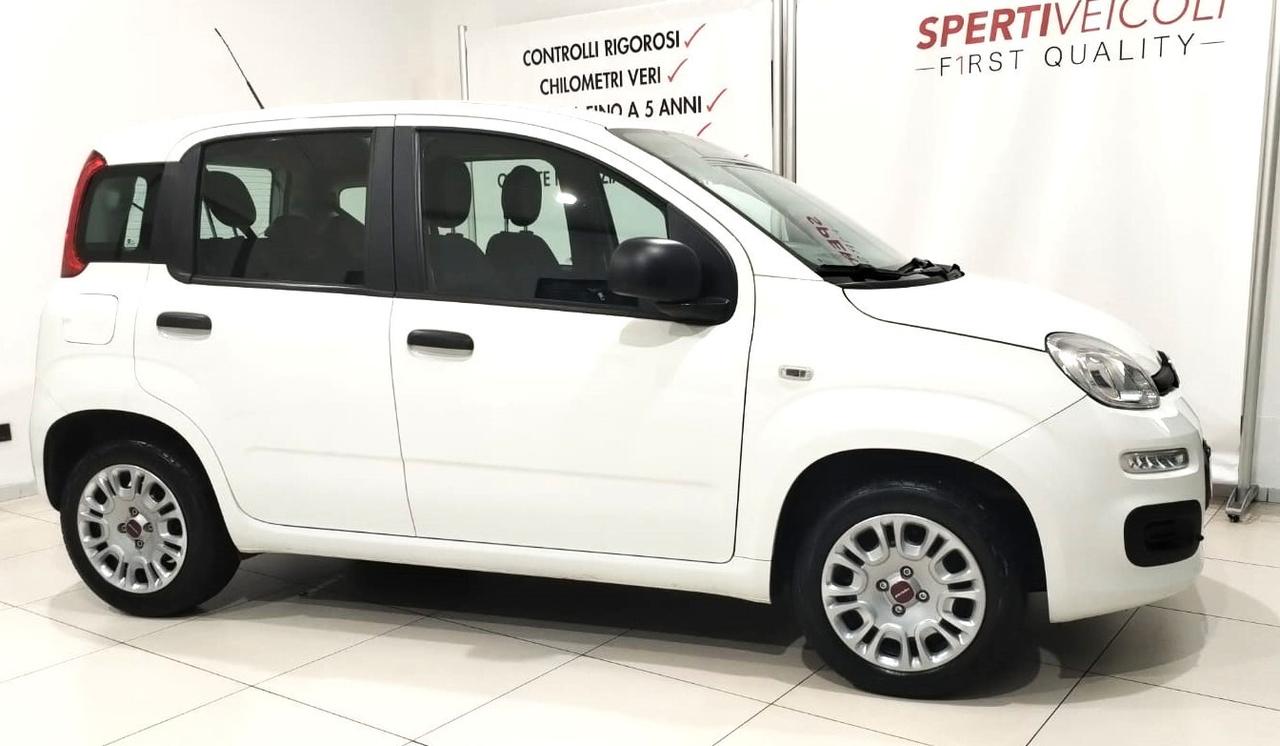 Fiat Panda 1.2 Easy