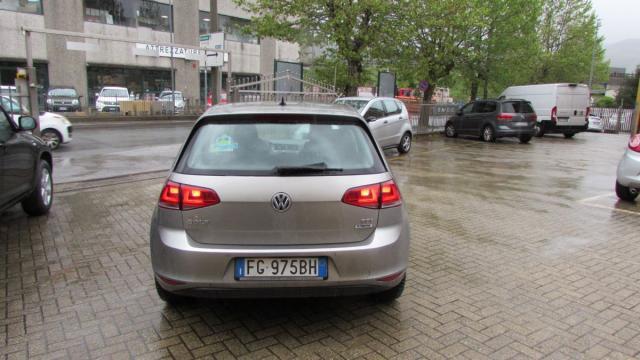 VOLKSWAGEN - Golf - 1.6 TDI 90 CV 5p. Trendline BMT