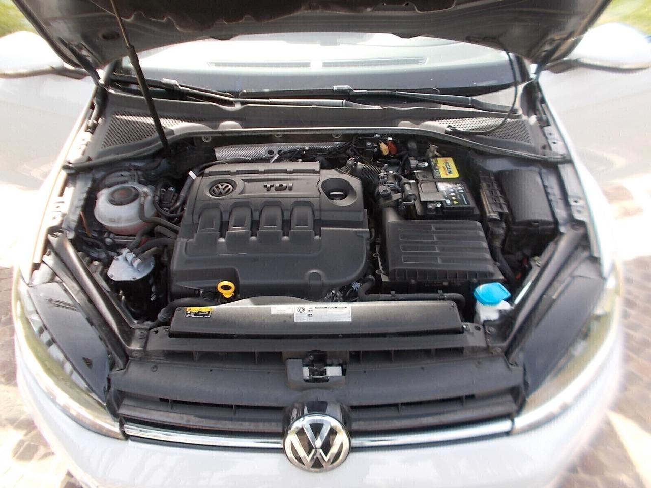 Volkswagen Golf 1.6 TDi VIRTUAL COCKPIT da VETRINA