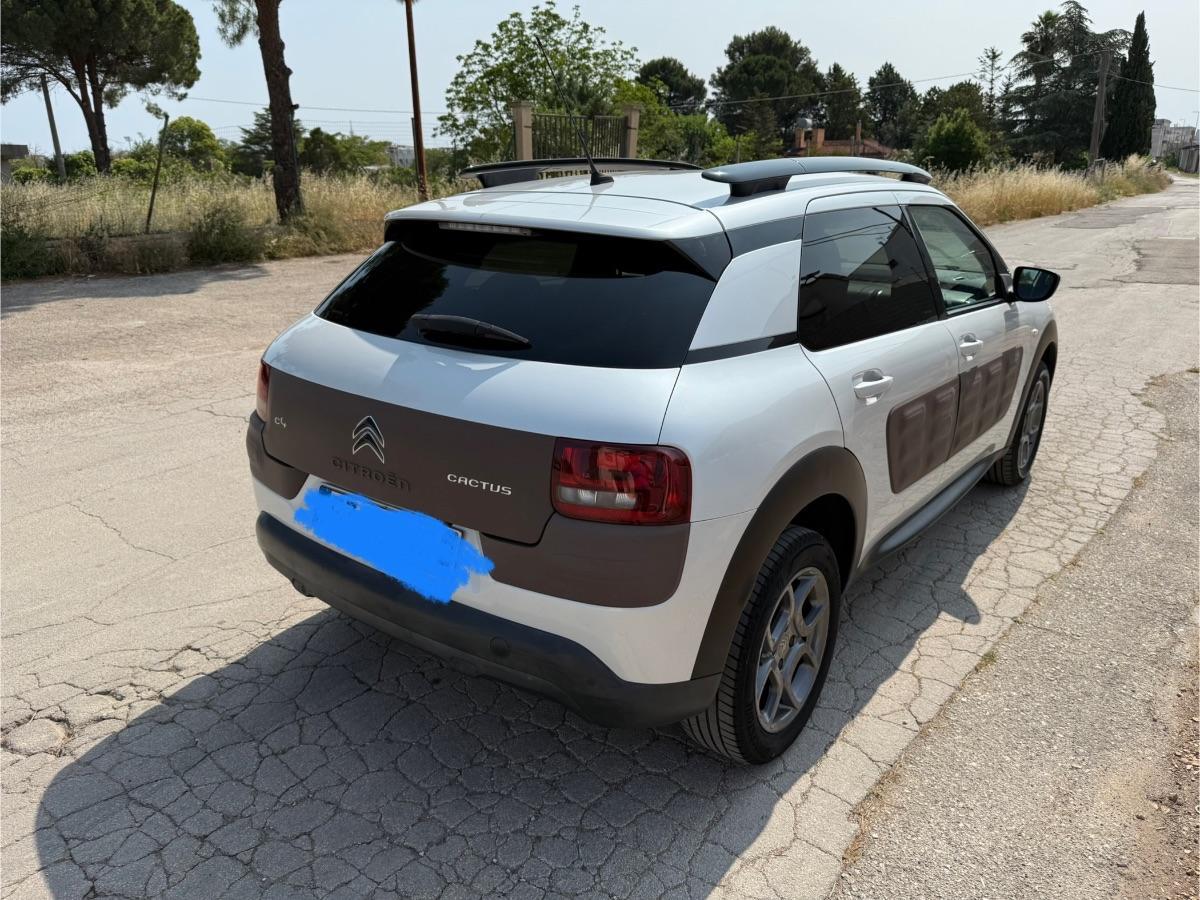 CITROEN - C4 Cactus - BlueHDi 100 S&S Shine