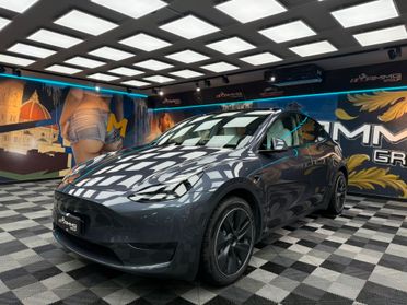 Tesla Model Y RWD (222)