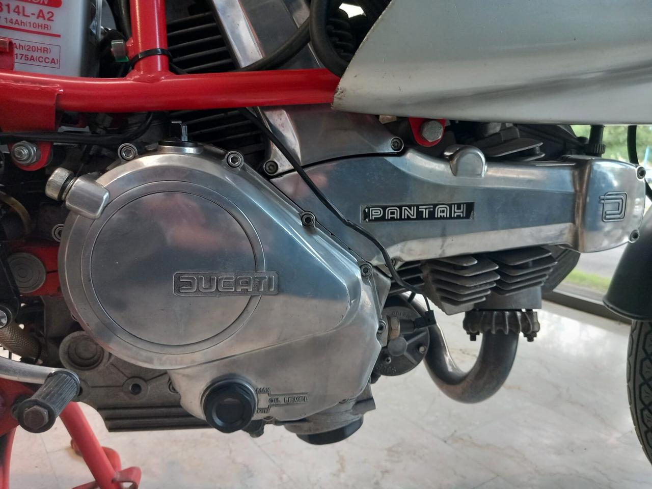 Ducati 350 Pantah XL Mike Hailwood