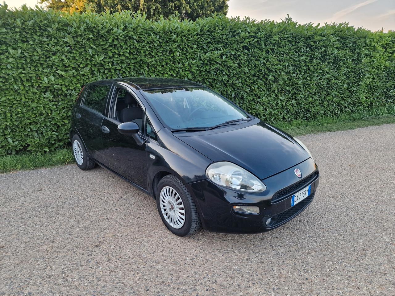 Fiat Punto 1.3 MJT 75cv 5p