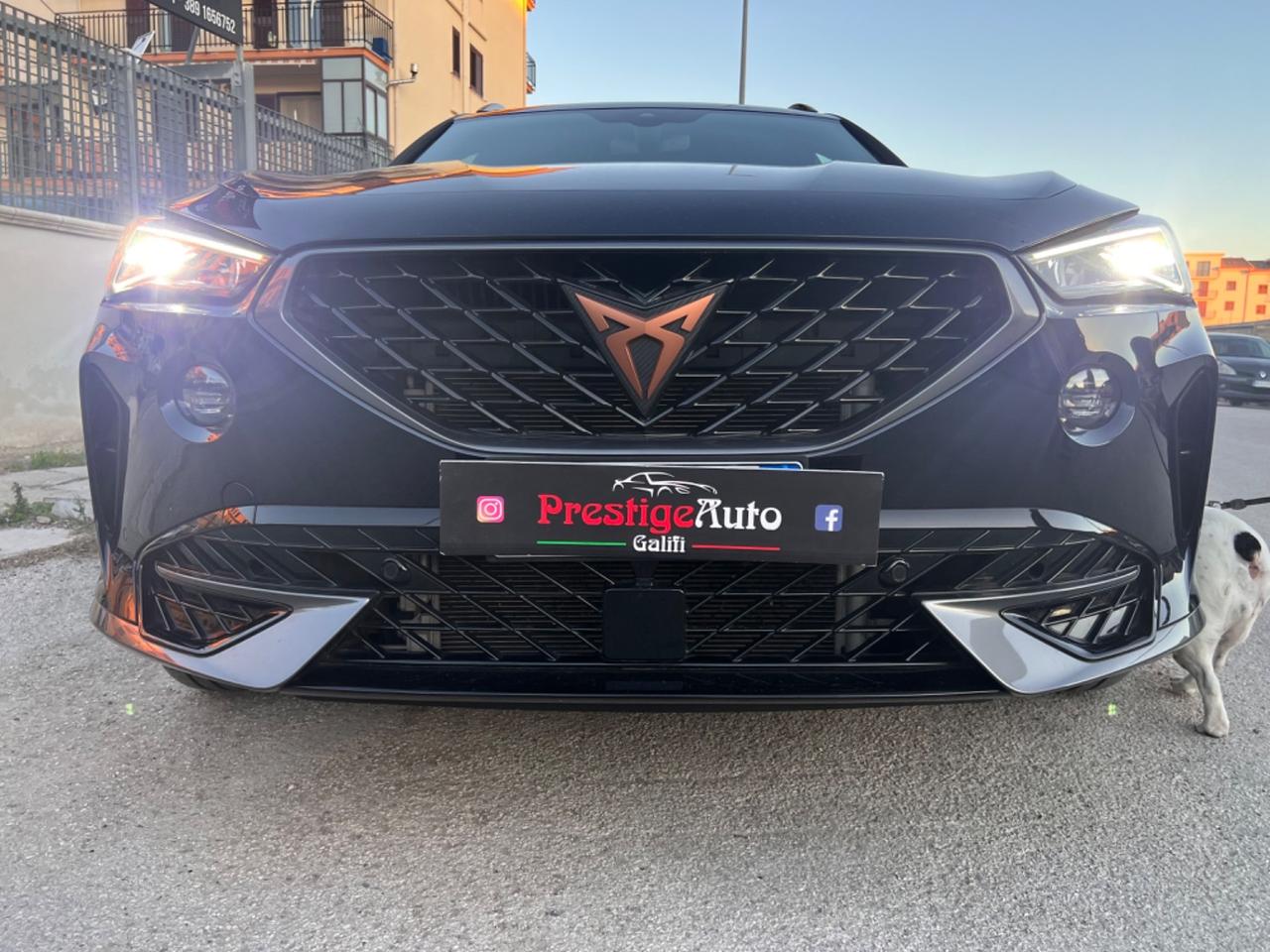 Cupra Formentor 2.0 TDI 150cv 2022