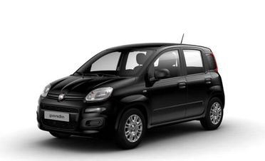FIAT Pandina 1.0 FireFly 65 CV Hybrid Icon